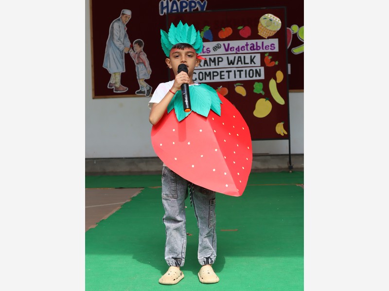 Little Champs Ramp Walk Competition